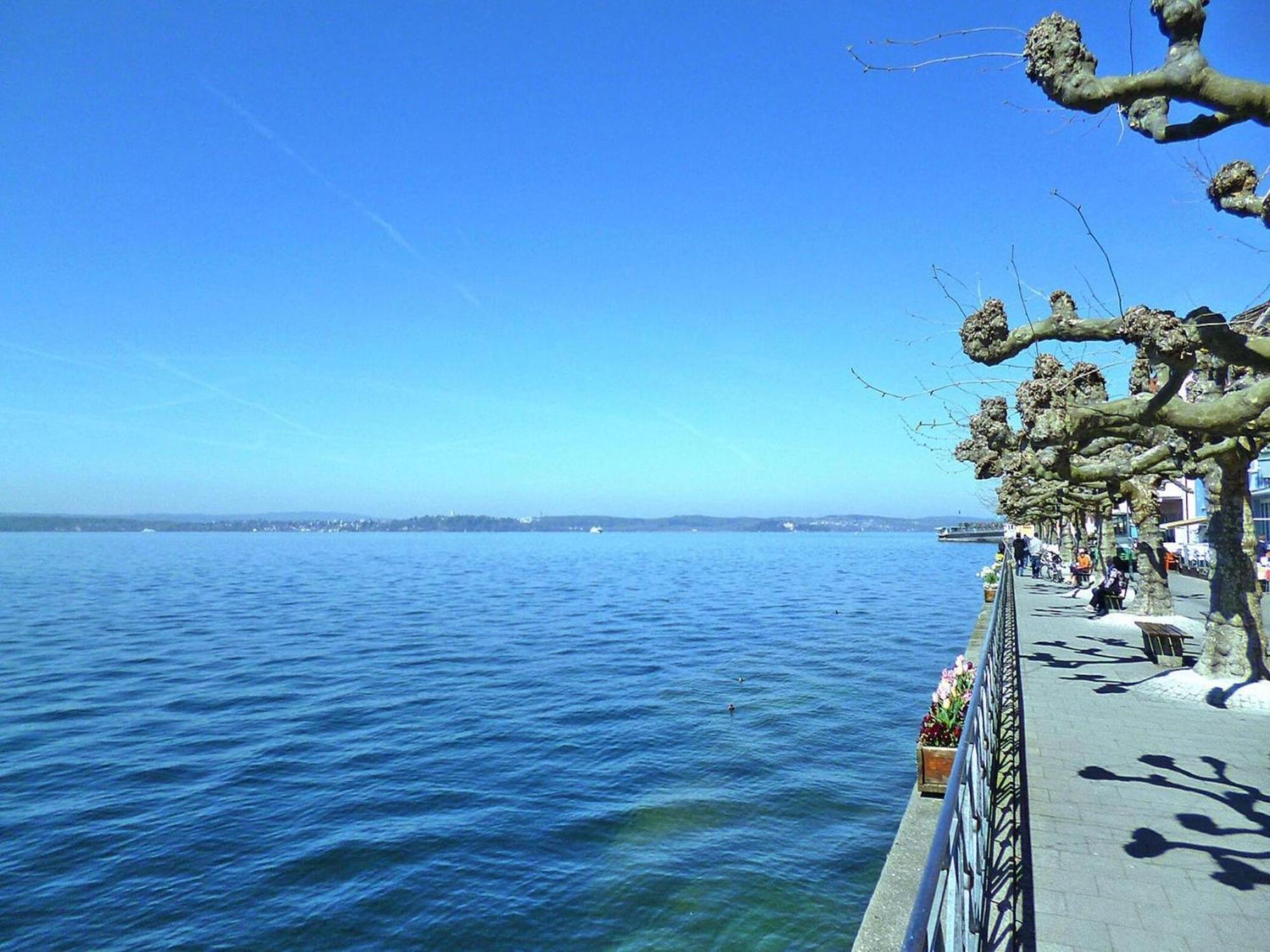 Apartment Bears, Meersburg Exterior photo